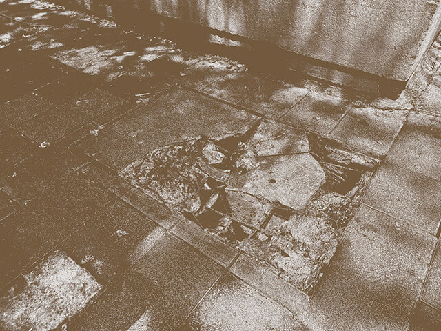 imagen 22 del testimonio 2