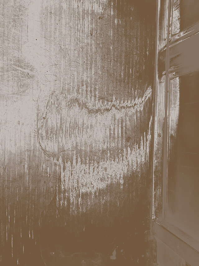 imagen 24 del testimonio 3