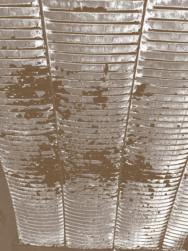 imagen 30 del testimonio 3