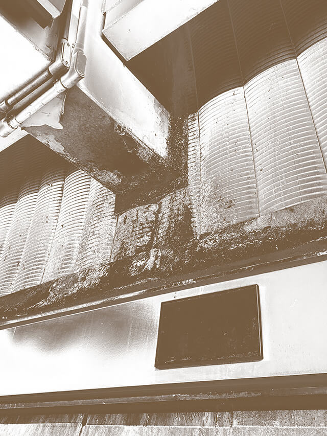 imagen 38 del testimonio 4