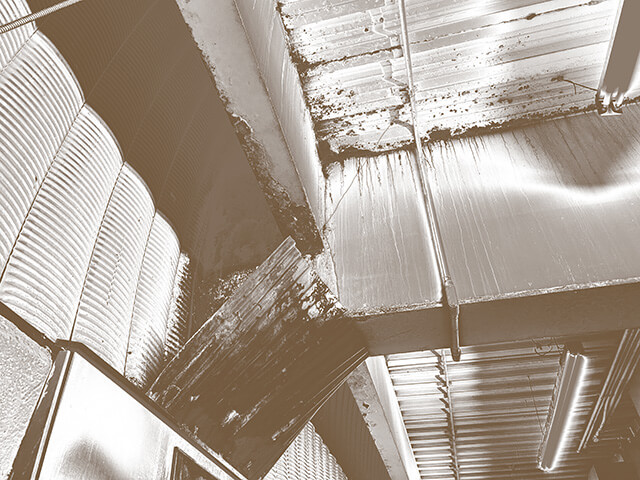 imagen 39 del testimonio 4