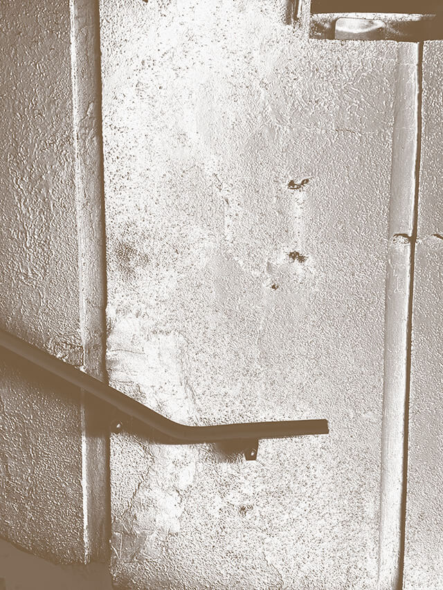 imagen 40 del testimonio 4