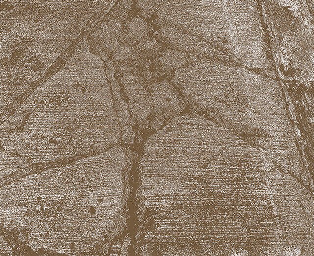 imagen 5 del testimonio 1